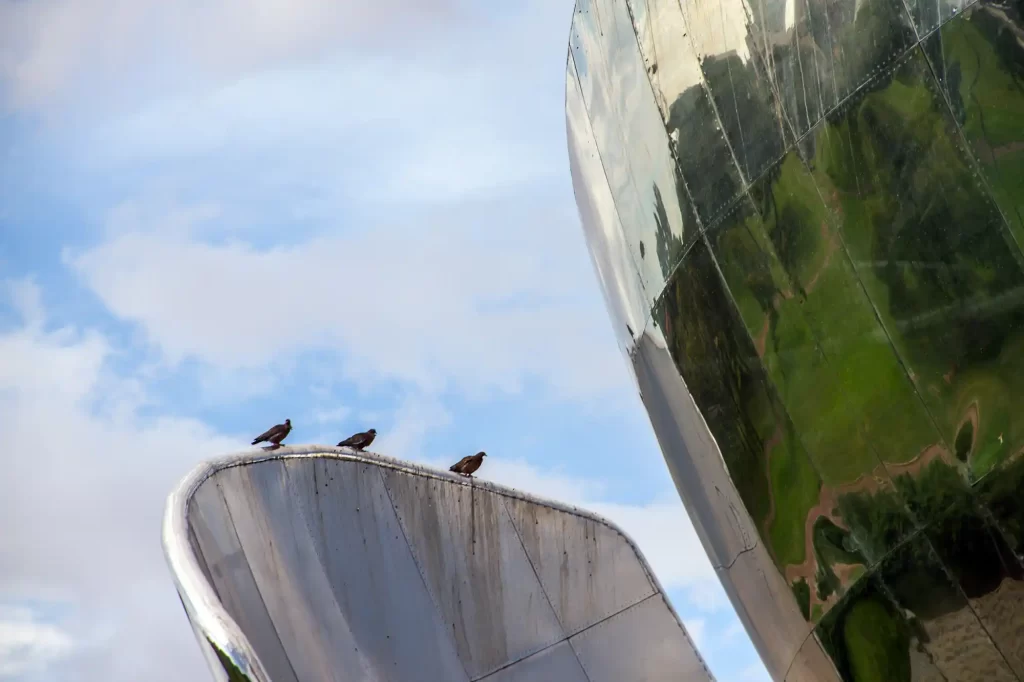 Floralis Genérica pigeosn in Buenos Aires