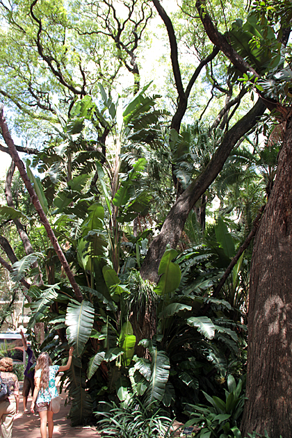 Read more about the article The Carlos Thays Botanical Garden